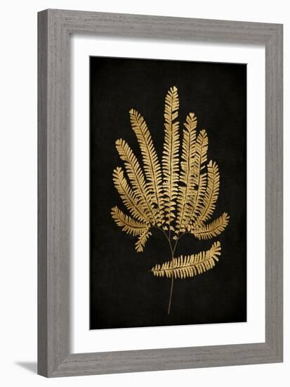 Golden Nature II-Kate Bennett-Framed Art Print