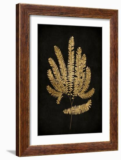 Golden Nature II-Kate Bennett-Framed Art Print