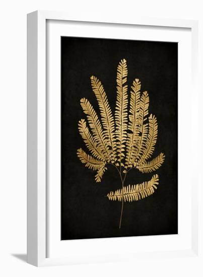 Golden Nature II-Kate Bennett-Framed Art Print