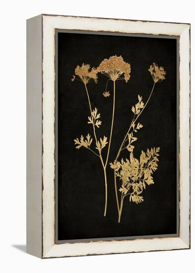 Golden Nature III-Kate Bennett-Framed Stretched Canvas