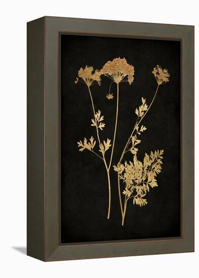 Golden Nature III-Kate Bennett-Framed Stretched Canvas