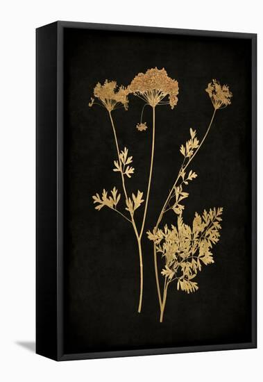 Golden Nature III-Kate Bennett-Framed Stretched Canvas