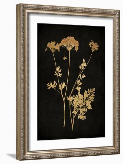 Golden Nature III-Kate Bennett-Framed Art Print