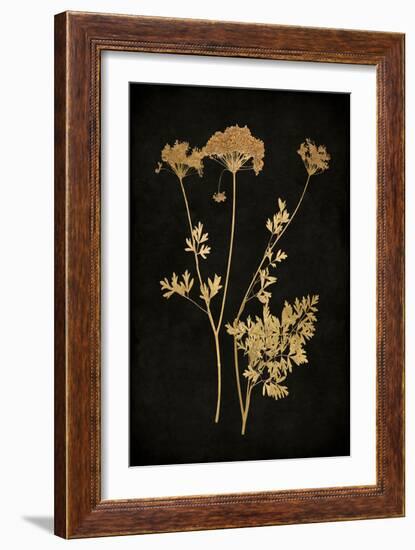 Golden Nature III-Kate Bennett-Framed Art Print