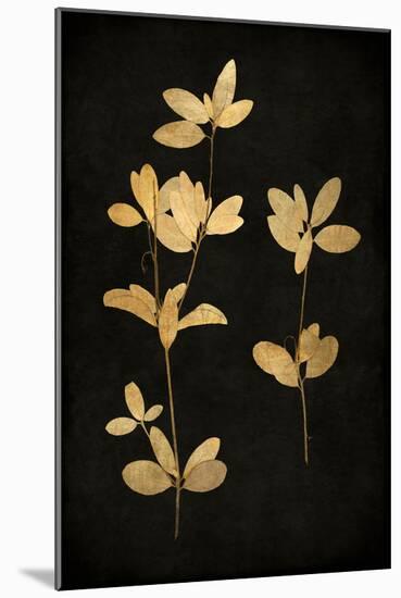 Golden Nature IV-Kate Bennett-Mounted Art Print