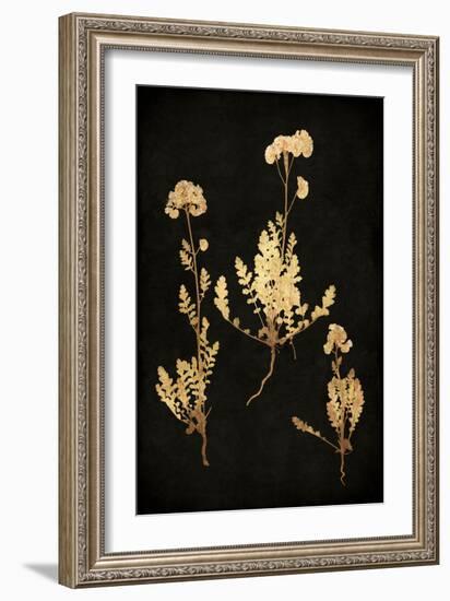 Golden Nature V-Kate Bennett-Framed Art Print