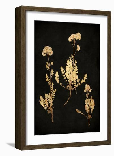 Golden Nature V-Kate Bennett-Framed Art Print