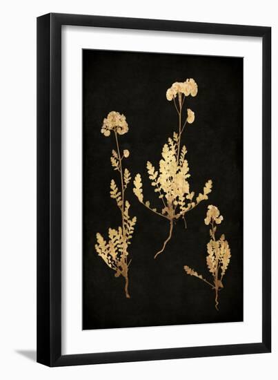 Golden Nature V-Kate Bennett-Framed Art Print