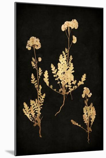 Golden Nature V-Kate Bennett-Mounted Art Print