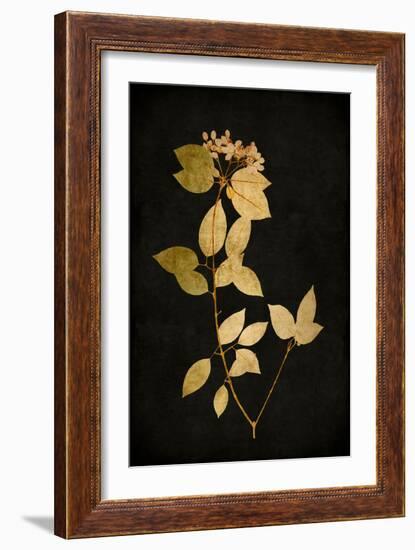 Golden Nature VI-Kate Bennett-Framed Art Print