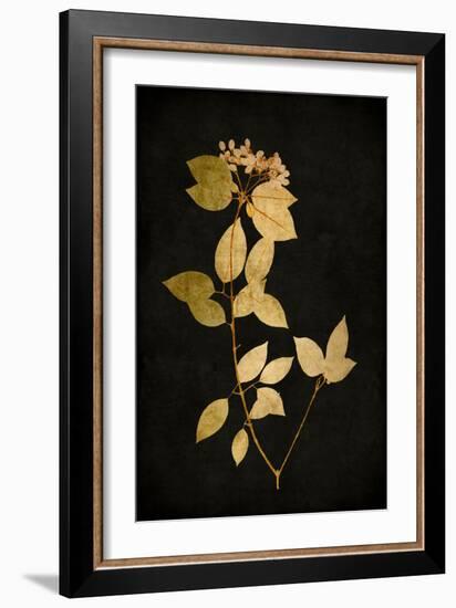 Golden Nature VI-Kate Bennett-Framed Art Print