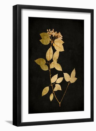 Golden Nature VI-Kate Bennett-Framed Art Print