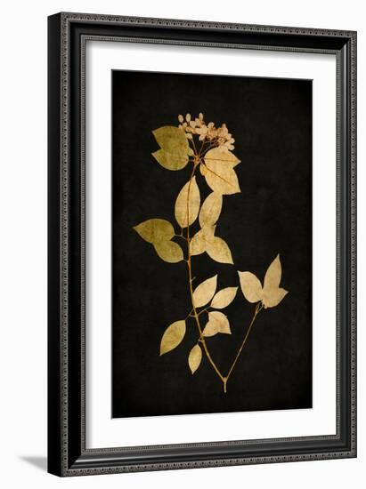 Golden Nature VI-Kate Bennett-Framed Art Print