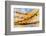 Golden Needles-Ursula Abresch-Framed Photographic Print