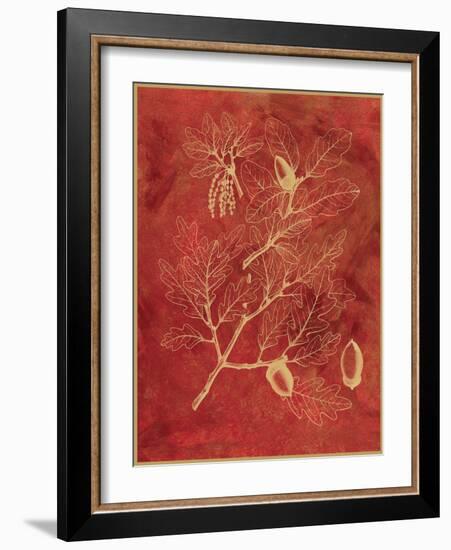 Golden Oak II-Sarah Chilton-Framed Art Print