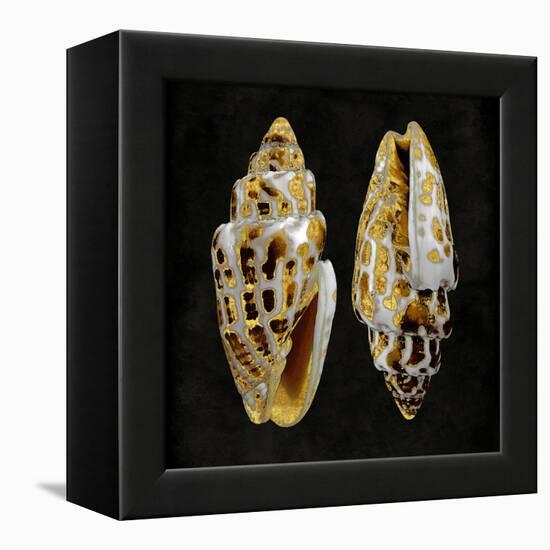 Golden Ocean Gems I-Caroline Kelly-Framed Stretched Canvas