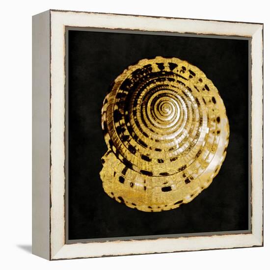 Golden Ocean Gems IV-Caroline Kelly-Framed Stretched Canvas