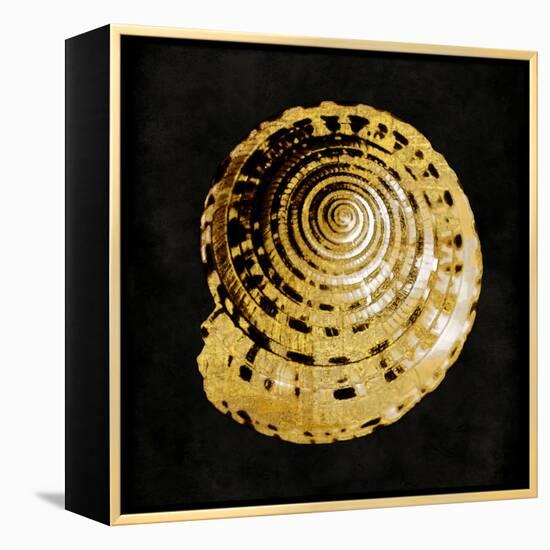 Golden Ocean Gems IV-Caroline Kelly-Framed Stretched Canvas