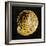 Golden Ocean Gems IV-Caroline Kelly-Framed Art Print