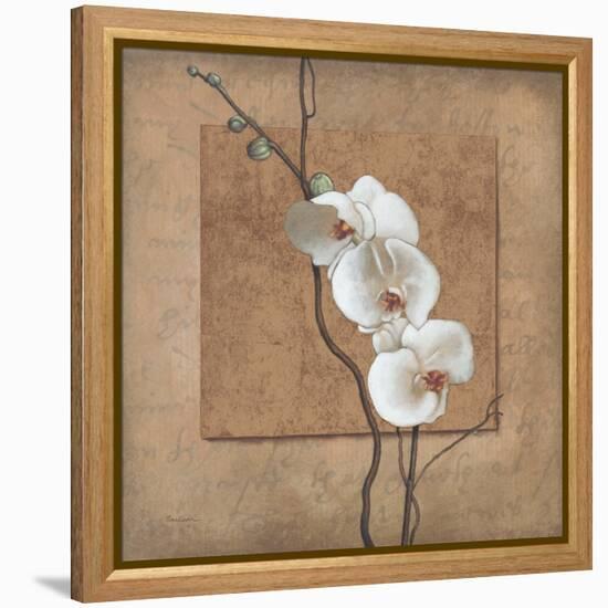 Golden Orchid I-Lee Carlson-Framed Stretched Canvas