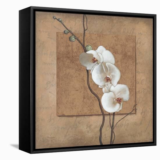 Golden Orchid I-Lee Carlson-Framed Stretched Canvas