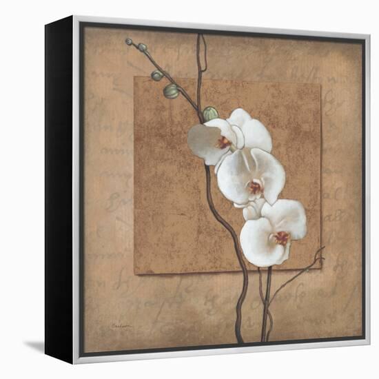 Golden Orchid I-Lee Carlson-Framed Stretched Canvas