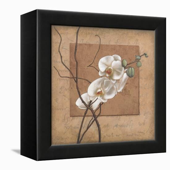 Golden Orchid II-Lee Carlson-Framed Stretched Canvas