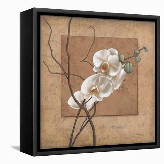 Golden Orchid II-Lee Carlson-Framed Stretched Canvas