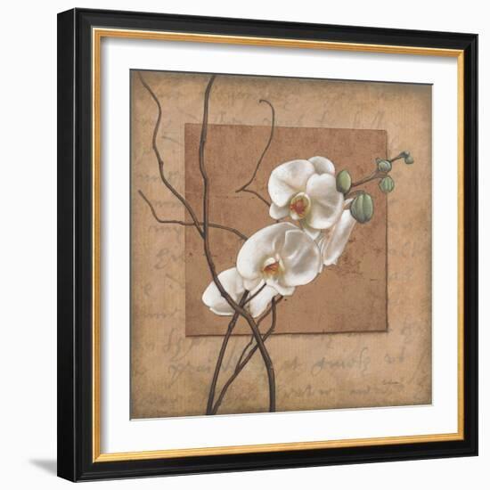 Golden Orchid II-Lee Carlson-Framed Art Print