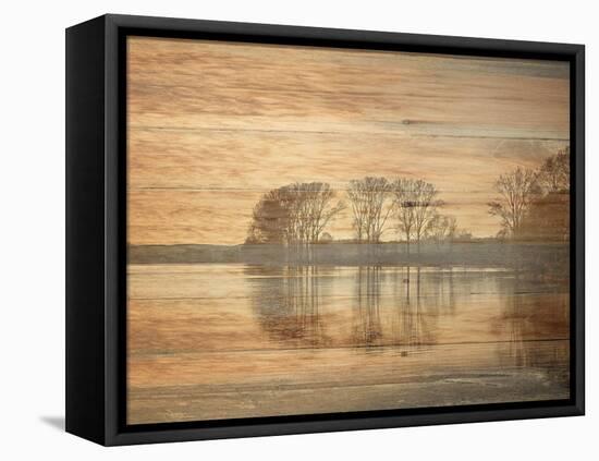 Golden Outdoors-Sheldon Lewis-Framed Stretched Canvas