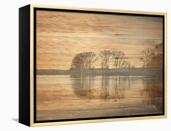 Golden Outdoors-Sheldon Lewis-Framed Stretched Canvas