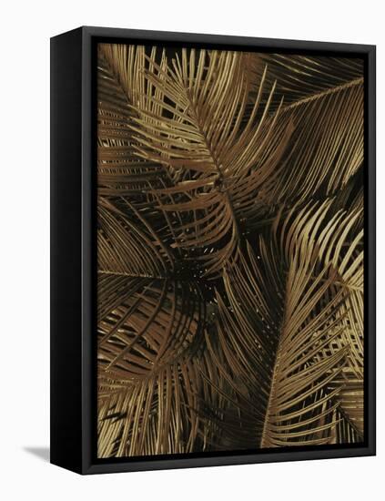 Golden Palm 2-Design Fabrikken-Framed Premier Image Canvas