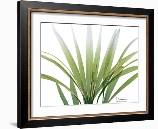 Golden Palm-Albert Koetsier-Framed Art Print