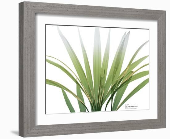 Golden Palm-Albert Koetsier-Framed Art Print