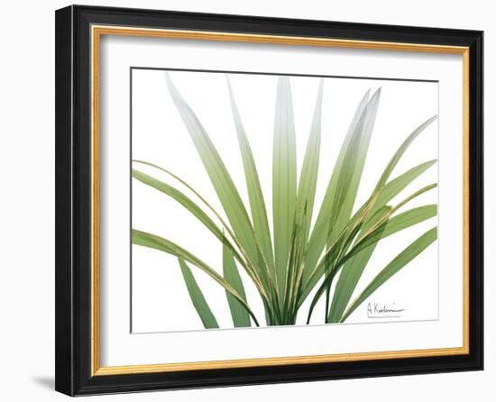 Golden Palm-Albert Koetsier-Framed Art Print