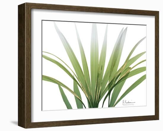 Golden Palm-Albert Koetsier-Framed Art Print