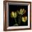 Golden Parrot Tulips-Magda Indigo-Framed Photographic Print