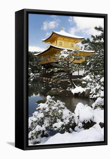 Golden Pavilion (Kinkaku-ji), UNESCO World Heritage Site, in winter, Kyoto, Japan, Asia-Damien Douxchamps-Framed Premier Image Canvas