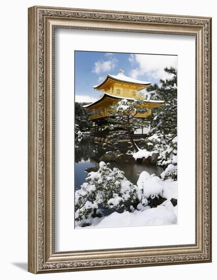 Golden Pavilion (Kinkaku-ji), UNESCO World Heritage Site, in winter, Kyoto, Japan, Asia-Damien Douxchamps-Framed Photographic Print