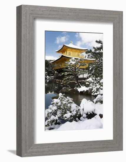 Golden Pavilion (Kinkaku-ji), UNESCO World Heritage Site, in winter, Kyoto, Japan, Asia-Damien Douxchamps-Framed Photographic Print