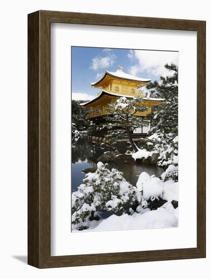 Golden Pavilion (Kinkaku-ji), UNESCO World Heritage Site, in winter, Kyoto, Japan, Asia-Damien Douxchamps-Framed Photographic Print