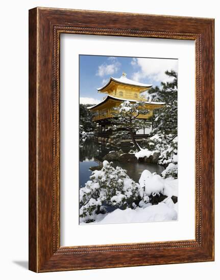 Golden Pavilion (Kinkaku-ji), UNESCO World Heritage Site, in winter, Kyoto, Japan, Asia-Damien Douxchamps-Framed Photographic Print