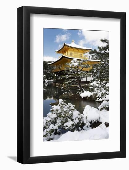 Golden Pavilion (Kinkaku-ji), UNESCO World Heritage Site, in winter, Kyoto, Japan, Asia-Damien Douxchamps-Framed Photographic Print
