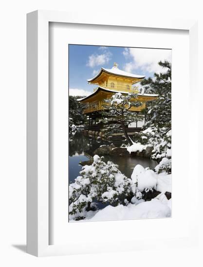 Golden Pavilion (Kinkaku-ji), UNESCO World Heritage Site, in winter, Kyoto, Japan, Asia-Damien Douxchamps-Framed Photographic Print