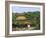 Golden Pavilion, Kyoto, Japan-null-Framed Photographic Print