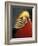 Golden Pheasant, South Africa-Michele Westmorland-Framed Photographic Print