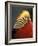 Golden Pheasant, South Africa-Michele Westmorland-Framed Photographic Print