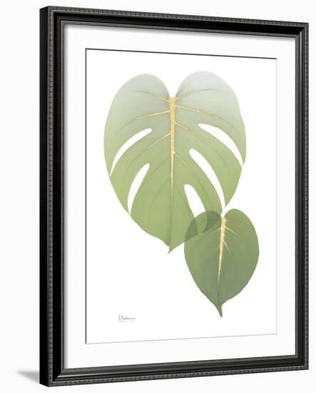 Golden Philodendron 1-Albert Koetsier-Framed Photo