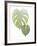 Golden Philodendron 1-Albert Koetsier-Framed Photo