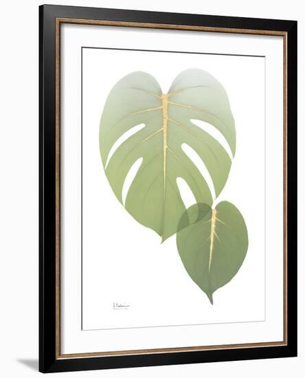 Golden Philodendron 1-Albert Koetsier-Framed Photo